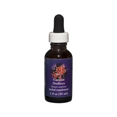 FES Organic Quintessentials Flower Essence Canyon Dudleya 30ml